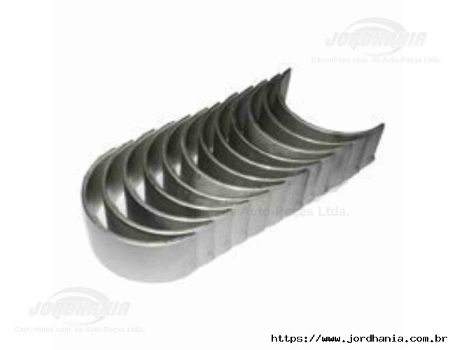 JG BRONZINA BIELA STD